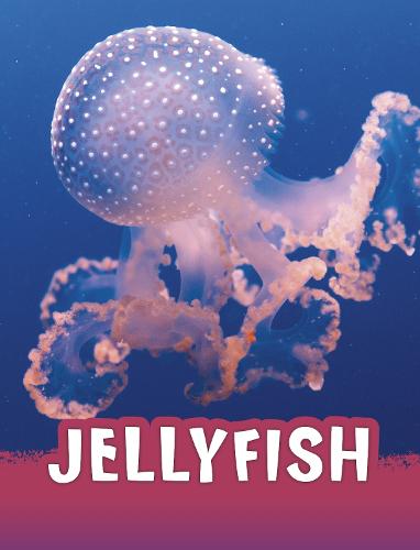 Jellyfish (Animals)
