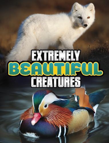 Extremely Beautiful Creatures (Unreal but Real Animals)