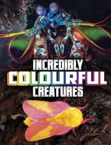 Incredibly Colourful Creatures (Unreal but Real Animals)