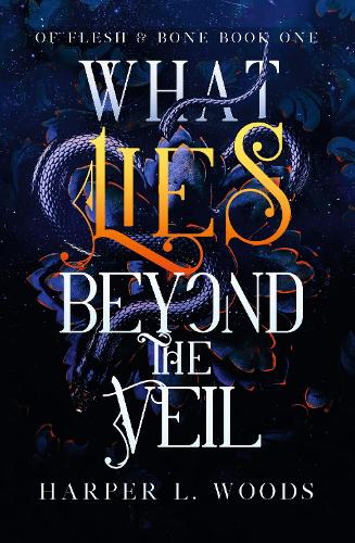 What Lies Beyond the Veil (Of Flesh & Bone)