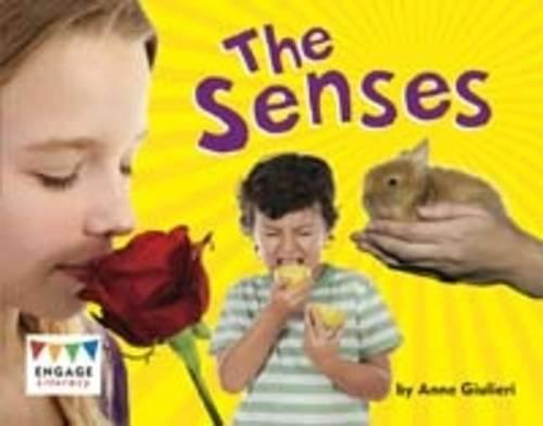 The Senses (Engage Literacy Purple)