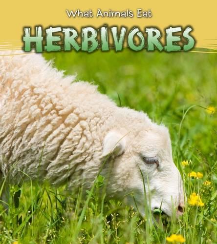 Herbivores (What Animals Eat)