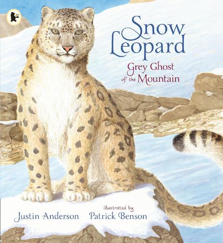 Snow Leopard: Grey Ghost of the Mountain (Nature Storybooks)