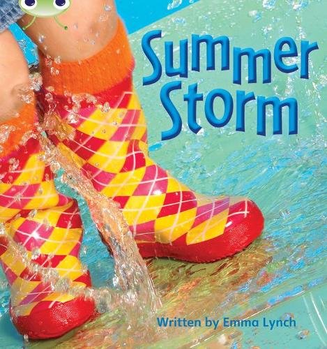 Summer Storm: Non-Fiction Set 11 (Phonics Bug)