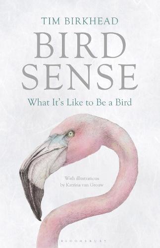 Bird Sense: What It's Like to Be a Bird