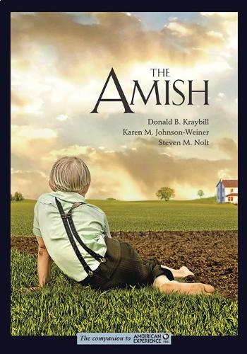 The Amish (The Companion to American Expe)