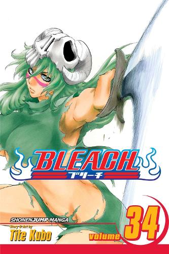 Bleach Volume 34: King of the Kill