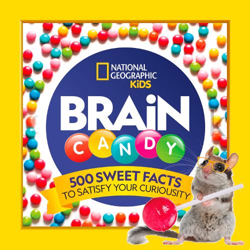 Brain Candy: 500 Sweet Facts to Satisfy Your Curiosity