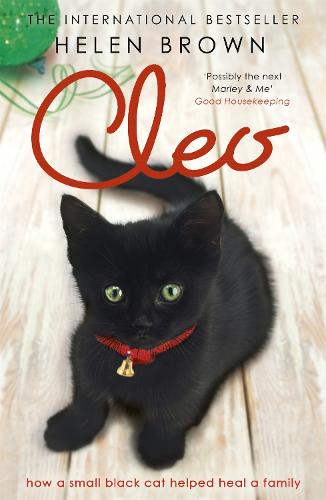 Cleo: The Cat Who Mended a Family: How a small black cat helped heal a family