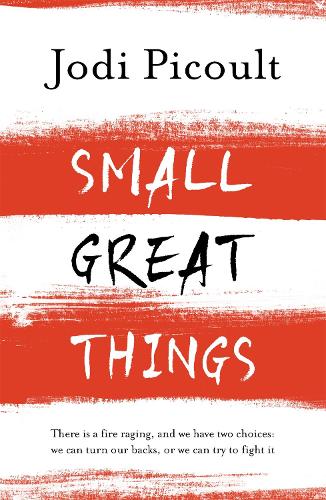 Small Great Things: 'To Kill a Mockingbird for the 21st Century'