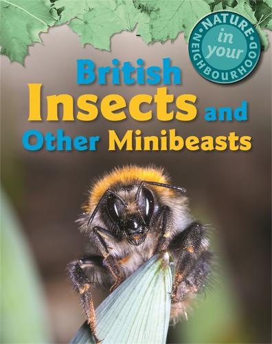 British Insects and other Minibeasts (Nature in Your Neighbourhood)