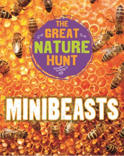 Minibeasts (The Great Nature Hunt)