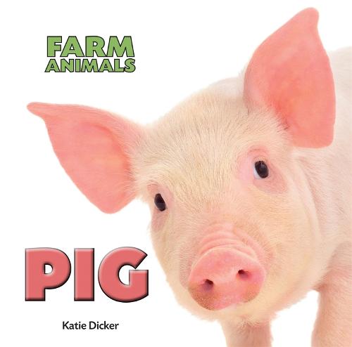 Pig (Farm Animals)