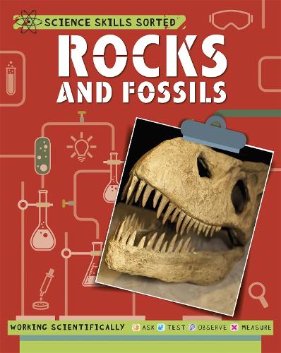 Rocks and Fossils (Science Skills Sorted!)