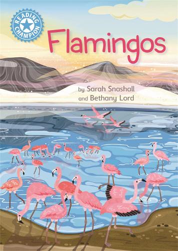 Flamingos: Independent Reading Non-Fiction Blue 4 (Reading Champion)