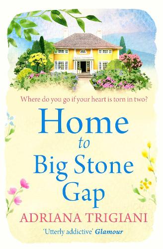 Home to Big Stone Gap (Big Stone Gap Saga 4)