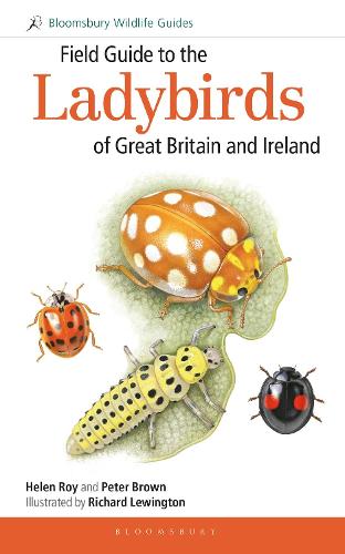 Field Guide to the Ladybirds of Great Britain and Ireland (Field Guides)