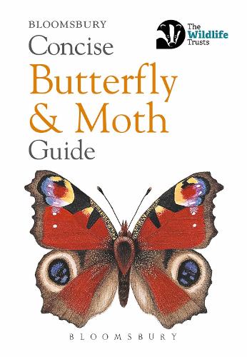 Concise Butterfly and Moth Guide (Concise Guides)