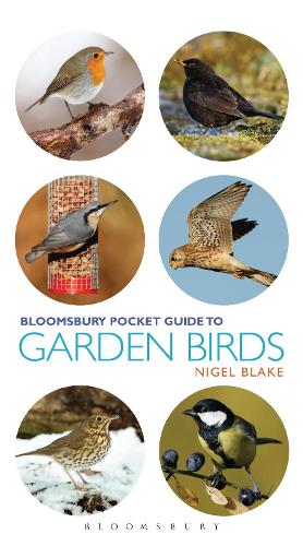 Pocket Guide To Garden Birds (Pocket Guides)