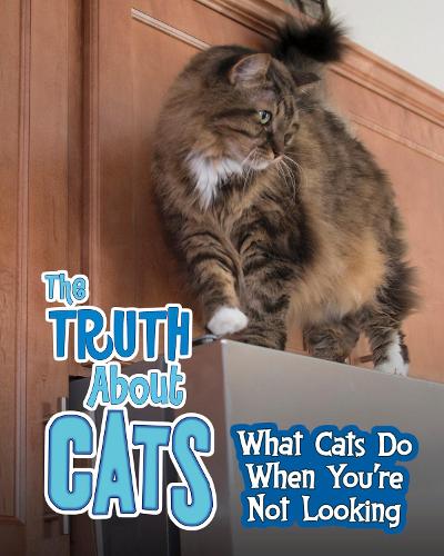 Pets Undercover!: The Truth about Cats: What Cats Do When You're Not Looking