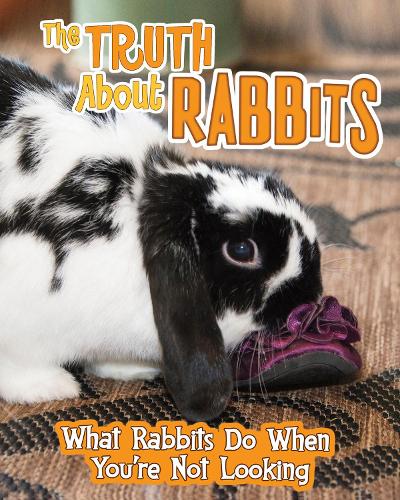 Pets Undercover!: The Truth about Rabbits: What Rabbits Do When You're Not Looking