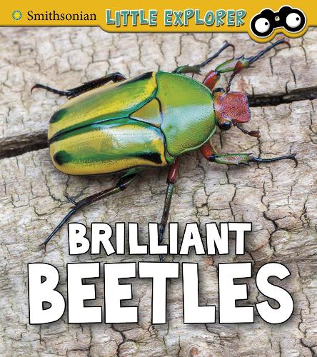 Insect Explorer: Brilliant Beetles