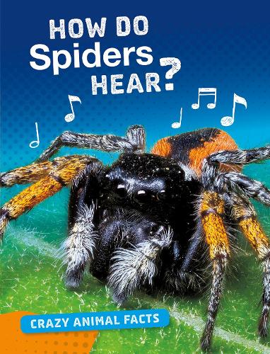 Crazy Animal Facts: How Do Spiders Hear?