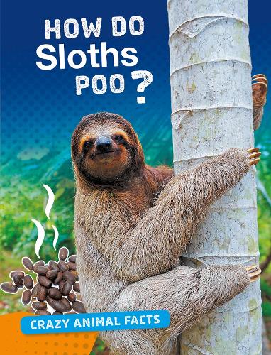 Crazy Animal Facts: How Do Sloths Poo?