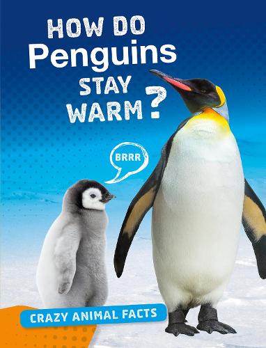 Crazy Animal Facts: How Do Penguins Stay Warm?