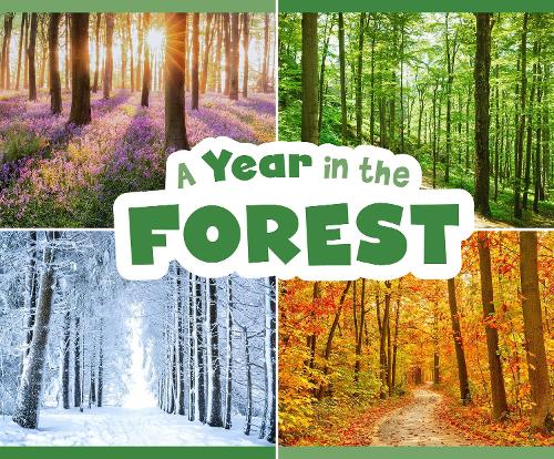 A Year in the Forest (Season to Season)