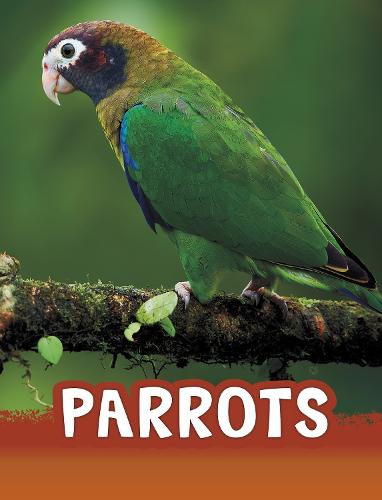 Parrots (Animals)