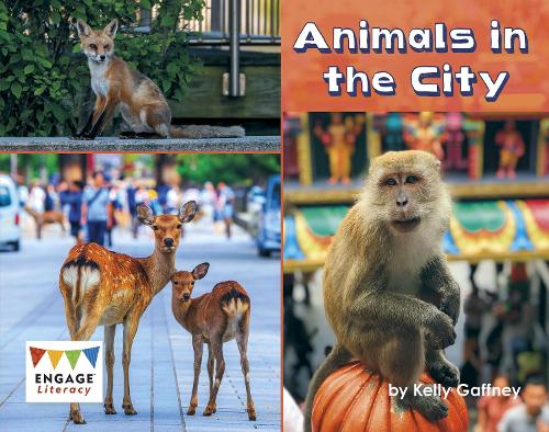 Animals in the City (Engage Literacy Turquoise)