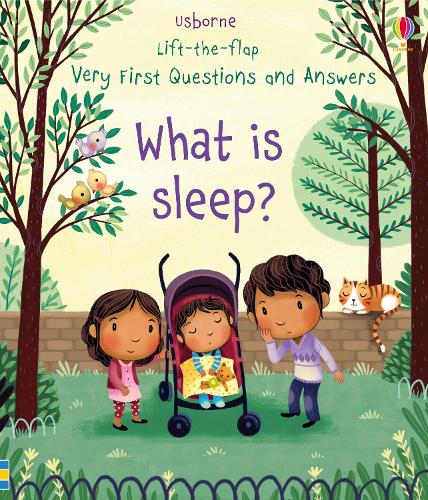 What is Sleep? (Lift the Flap Very First Questions & Answers)