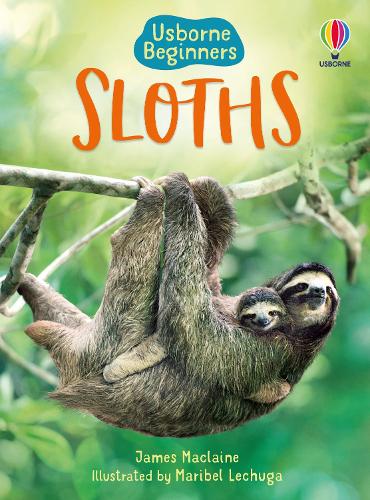 Sloths (Beginners)