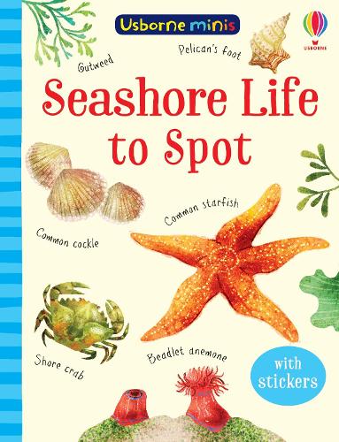 Seashore Life to Spot (Usborne Mini Books): 1 (Usborne Minis)