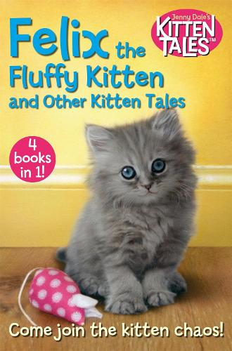 Felix the Fluffy Kitten and Other Kitten Tales (Jenny Dale’s Animal Tales)