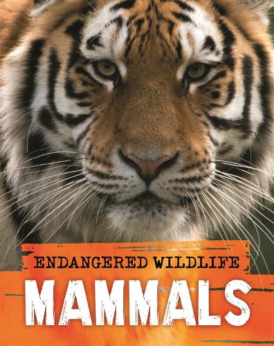 Endangered Wildlife: Rescuing Mammals