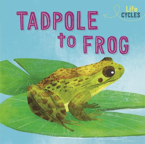 From Tadpole to Frog (Life Cycles)