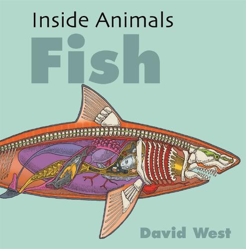 Fish (Inside Animals)