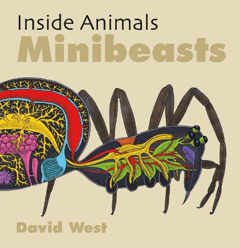 Minibeasts (Inside Animals)