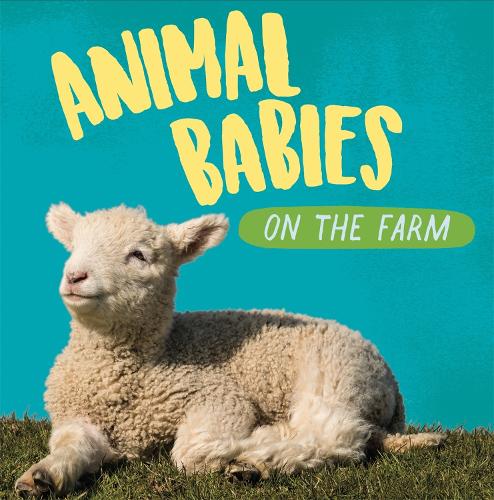 On the Farm (Animal Babies)