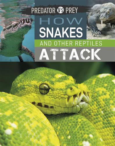 How Snakes and other Reptiles Attack (Predator vs Prey)