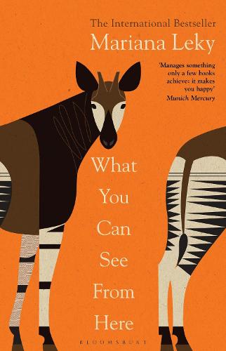 What You Can See From Here: The International Bestseller translated by Tess Lewis