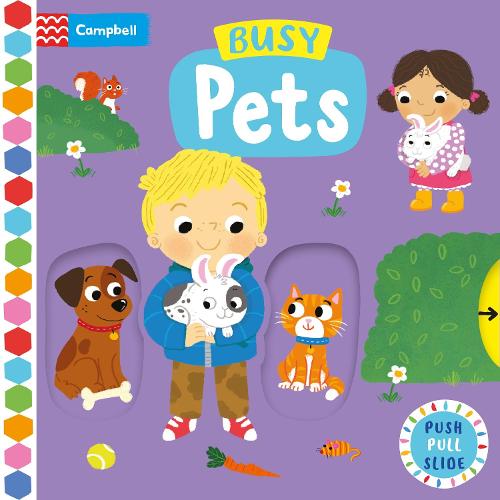 Busy Pets (Campbell Busy Books, 57)