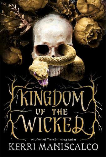 Kingdom of the Wicked: TikTok made me buy it! The addictive and darkly romantic fantasy