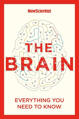 The Brain: Everything You Need to Know