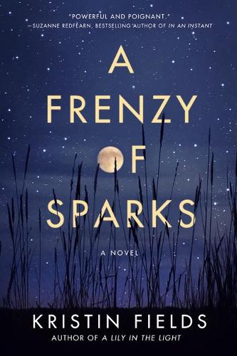 A Frenzy of Sparks: A Novel