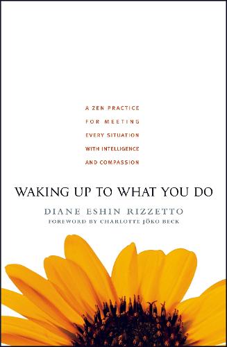 Waking Up to What You Do: A ZEN Practice for Meeting Every Situation (Shambhala Pocket Classics)
