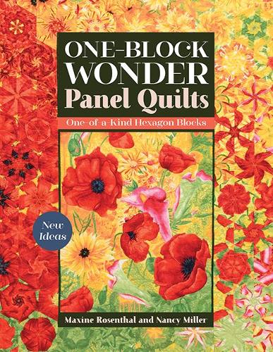 One-Block Wonder Panel Quilts: New ideas; one-of-a-kind hexagon blocks