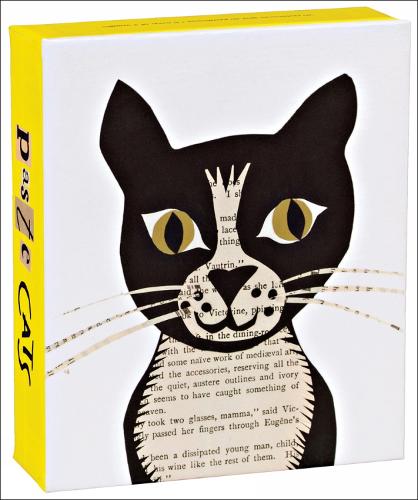 Notecards / Paste Cats QuickNotes / teNeues